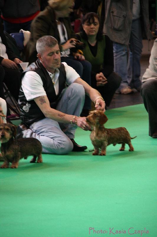 Crufts2011_2 577.jpg